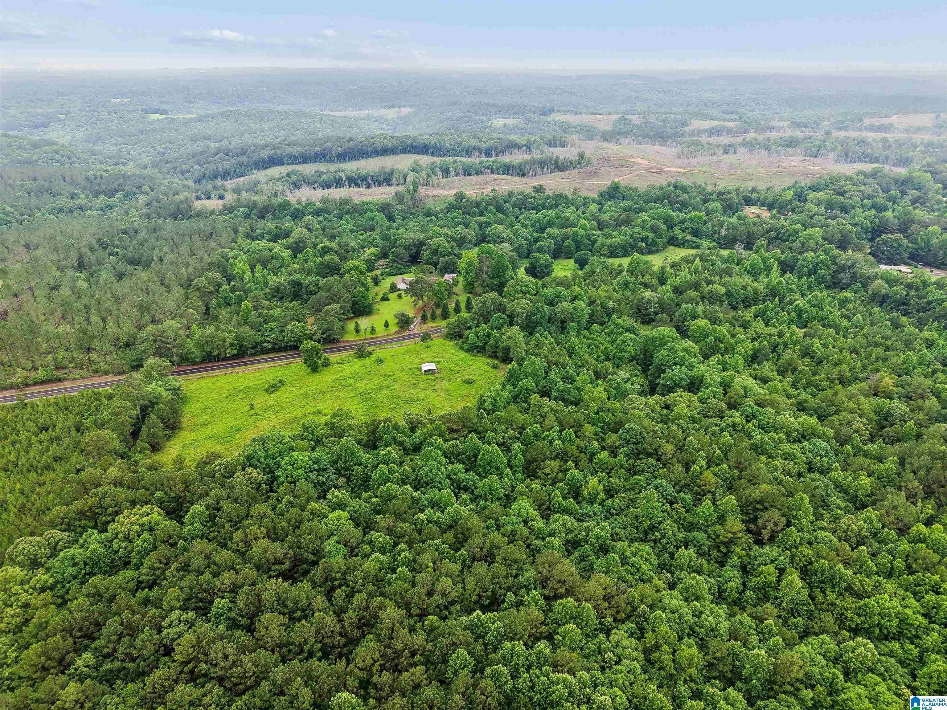 2919 Old Pineywoods Road Jasper, AL 35504 - Photo 14 of 56