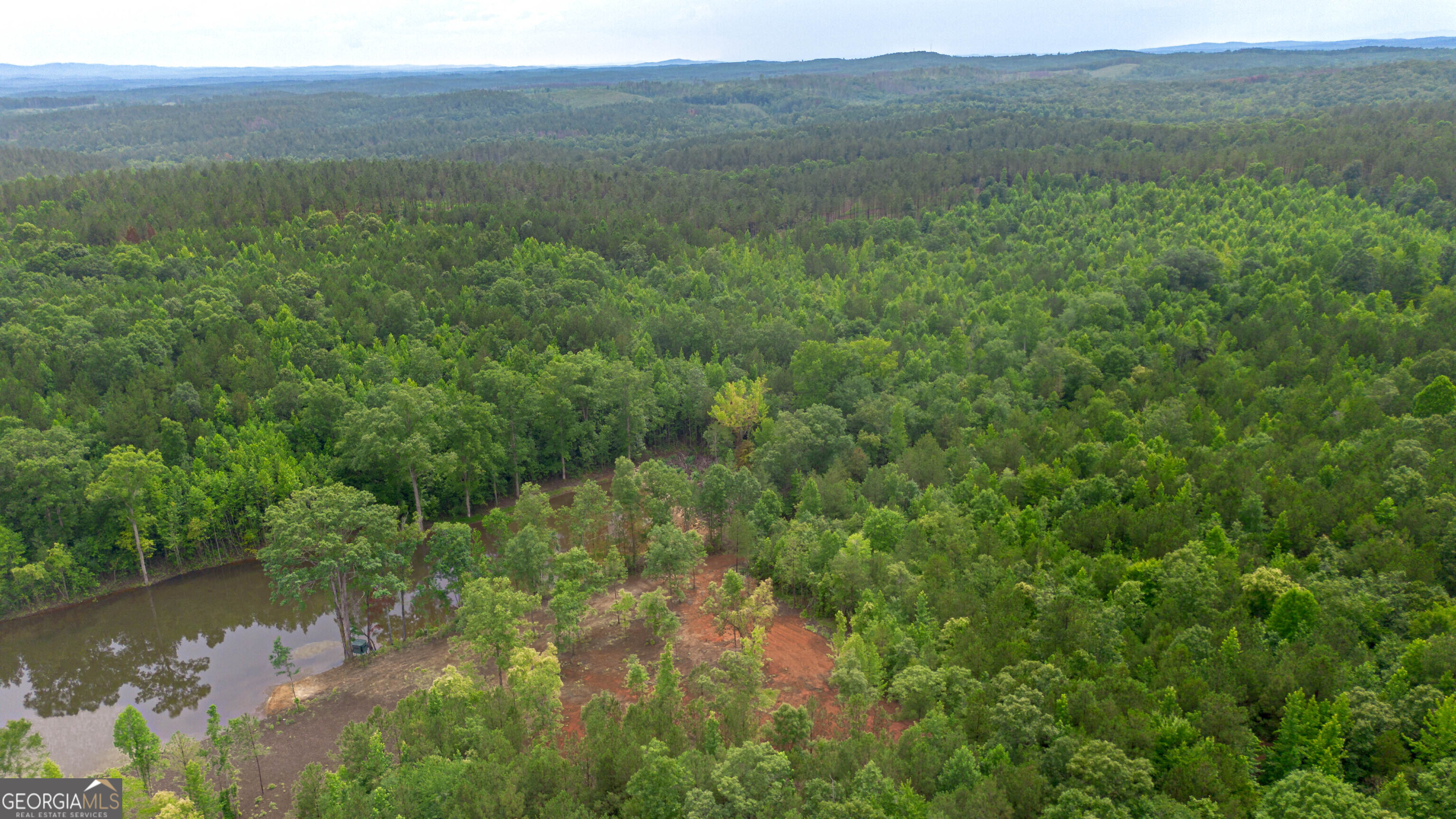0 Vineyard Fruithurst, AL 36262 - Photo 16 of 21