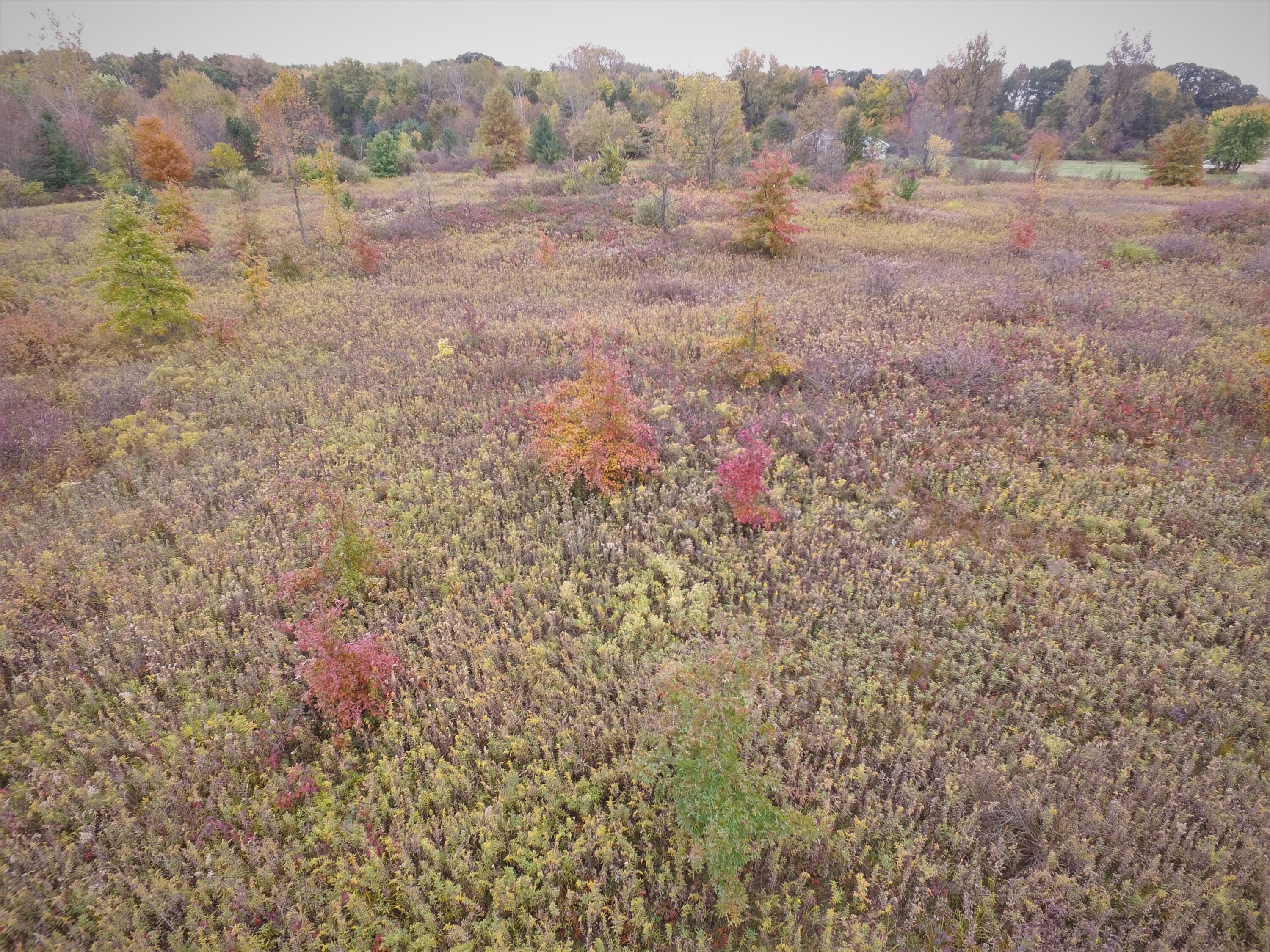 0 Olive Green Road Centerburg, OH 43011 - Photo 8 of 8 DJI_0014 (2)