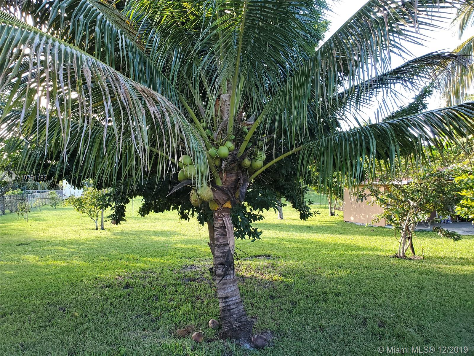 4711 Southwest 133rd Avenue Southwest Ranches, FL 33330 - Photo 21 of 35 Gallery Image 21