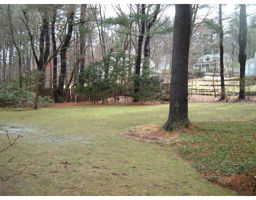 7 Radcliffe Road Wellesley, MA 02482 - Photo 3 of 11 a view of a yard with a tree