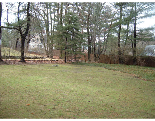 7 Radcliffe Road Wellesley, MA 02482 - Photo 4 of 11 a big yard with lots of green space