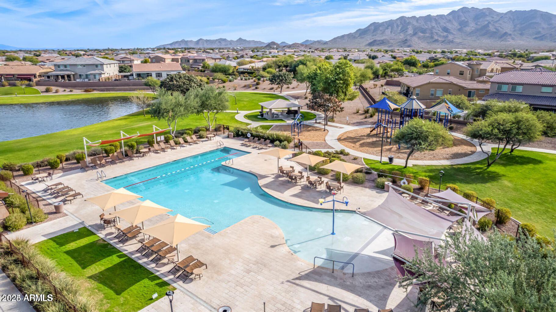 2776 East Mews Road Gilbert, AZ 85298 - Photo 58 of 80 Community pool
