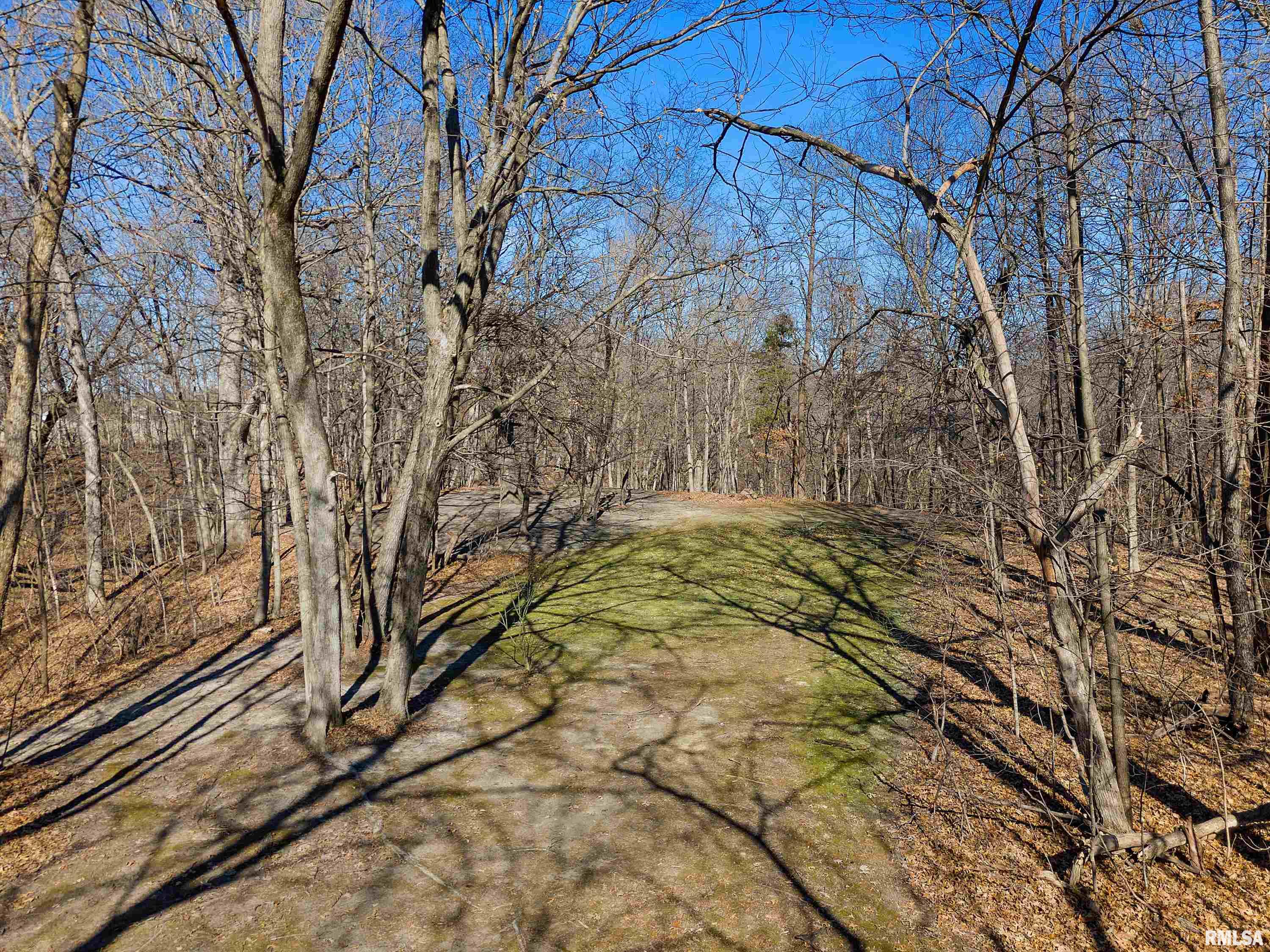 7305 West Grange Hall Road Dunlap, IL 61525 - Photo 44 of 45