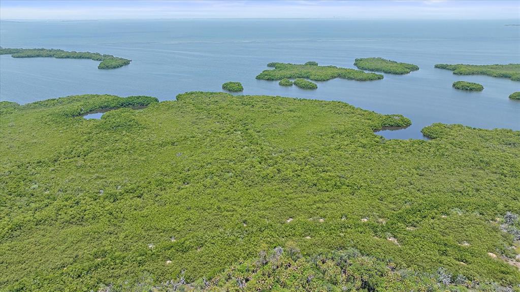 Stotz Road Palmetto, FL 34221 - Photo 9 of 16 Gallery Image 9