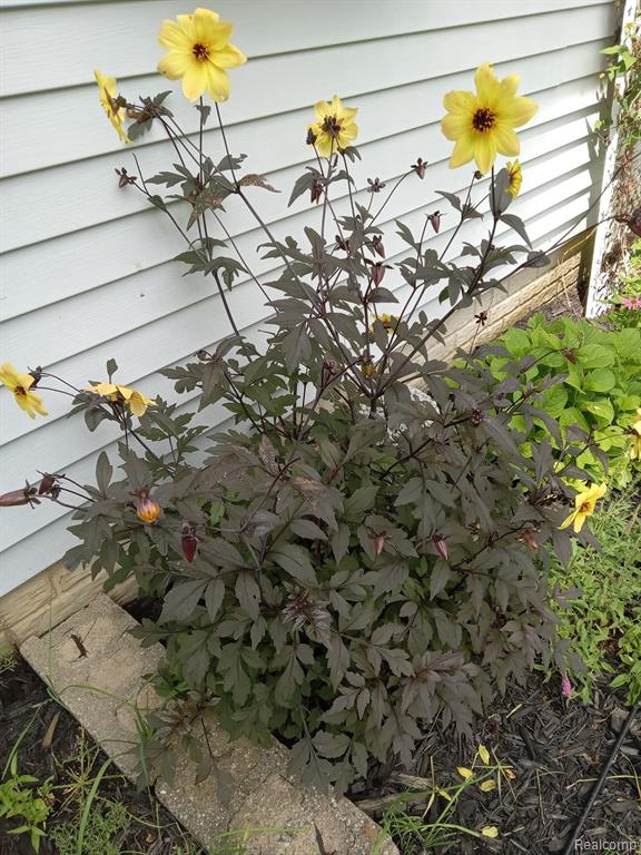 2401 East Farrand Road Clio, MI 48420 - Photo 35 of 41 Gallery Image 35