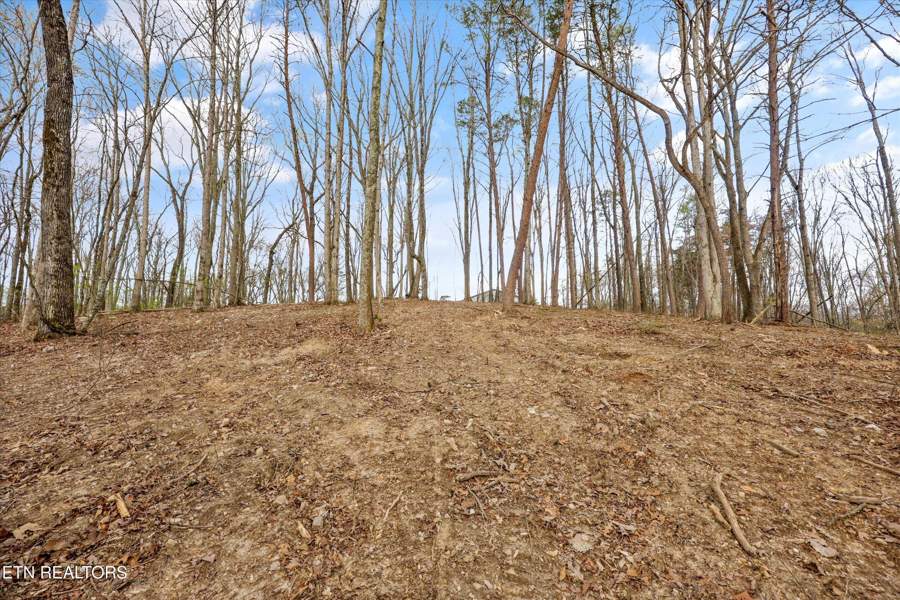 0 Pleasant View Loop Clinton, TN 37716 - Photo 5 of 12 03-225 Pleasant Loop03