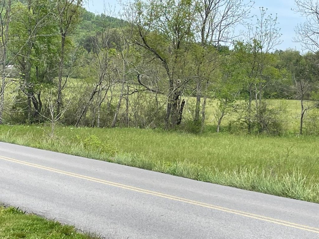 0 Line Springs Road Sevierville, TN 37862 - Photo 5 of 8