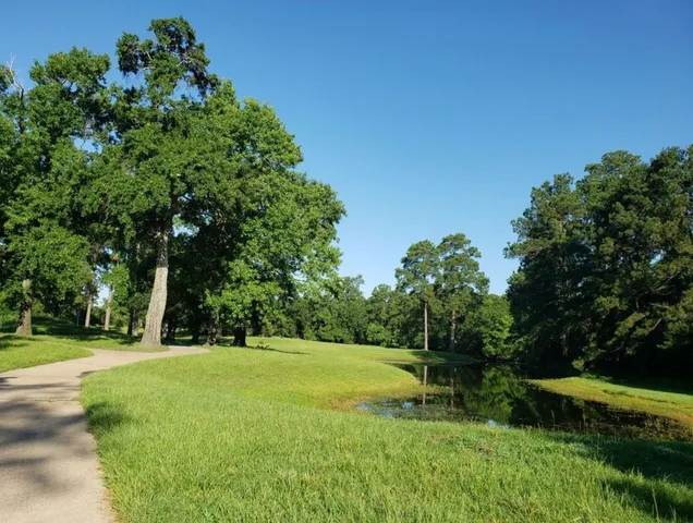 a view of a park with large trees