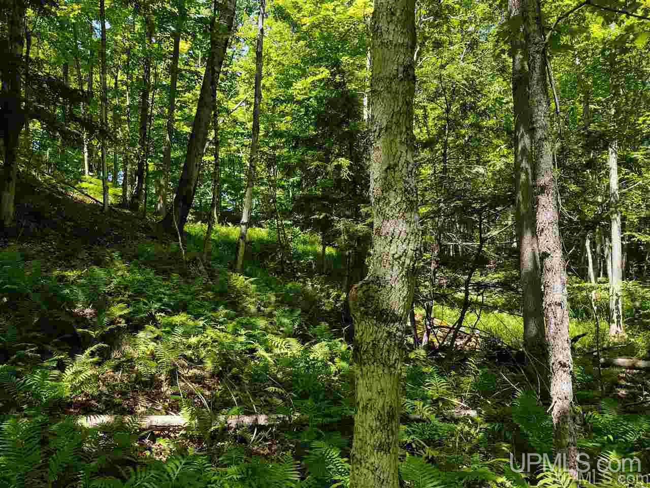 Tbd Tbd Indian Cemetery Road Lanse, MI 49946 - Photo 28 of 40