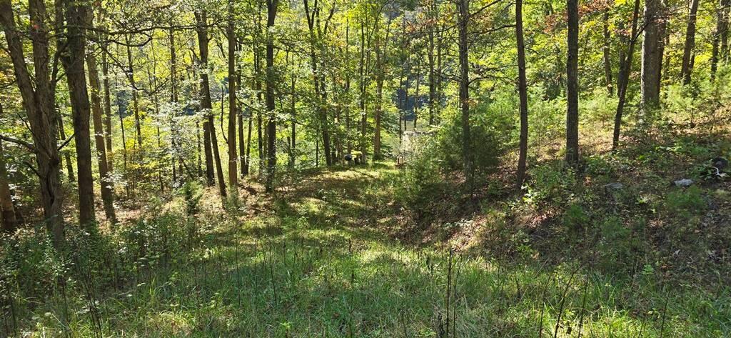 903 Bacon Falls Road Talcott, WV 24981 - Photo 5 of 56 Gallery Image 5