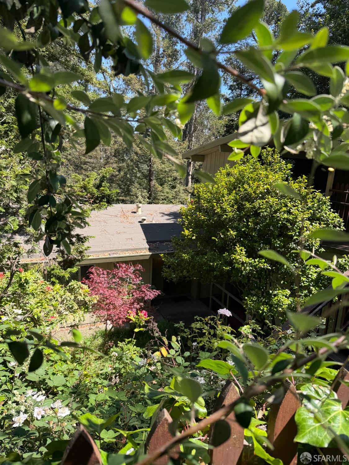 7101 Pinehaven Road Oakland, CA 94611 - Photo 4 of 45