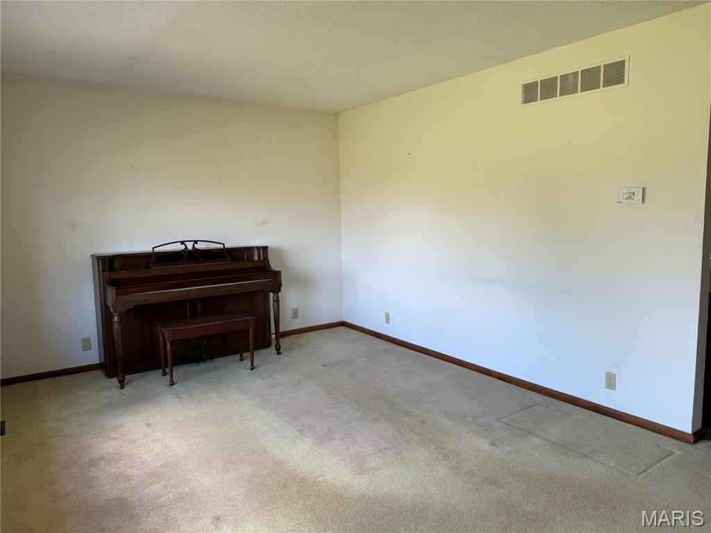 106 Johnson Lane Raymond, IL 62560 - Photo 10 of 24