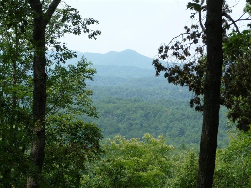 a view of a mountain in the forest