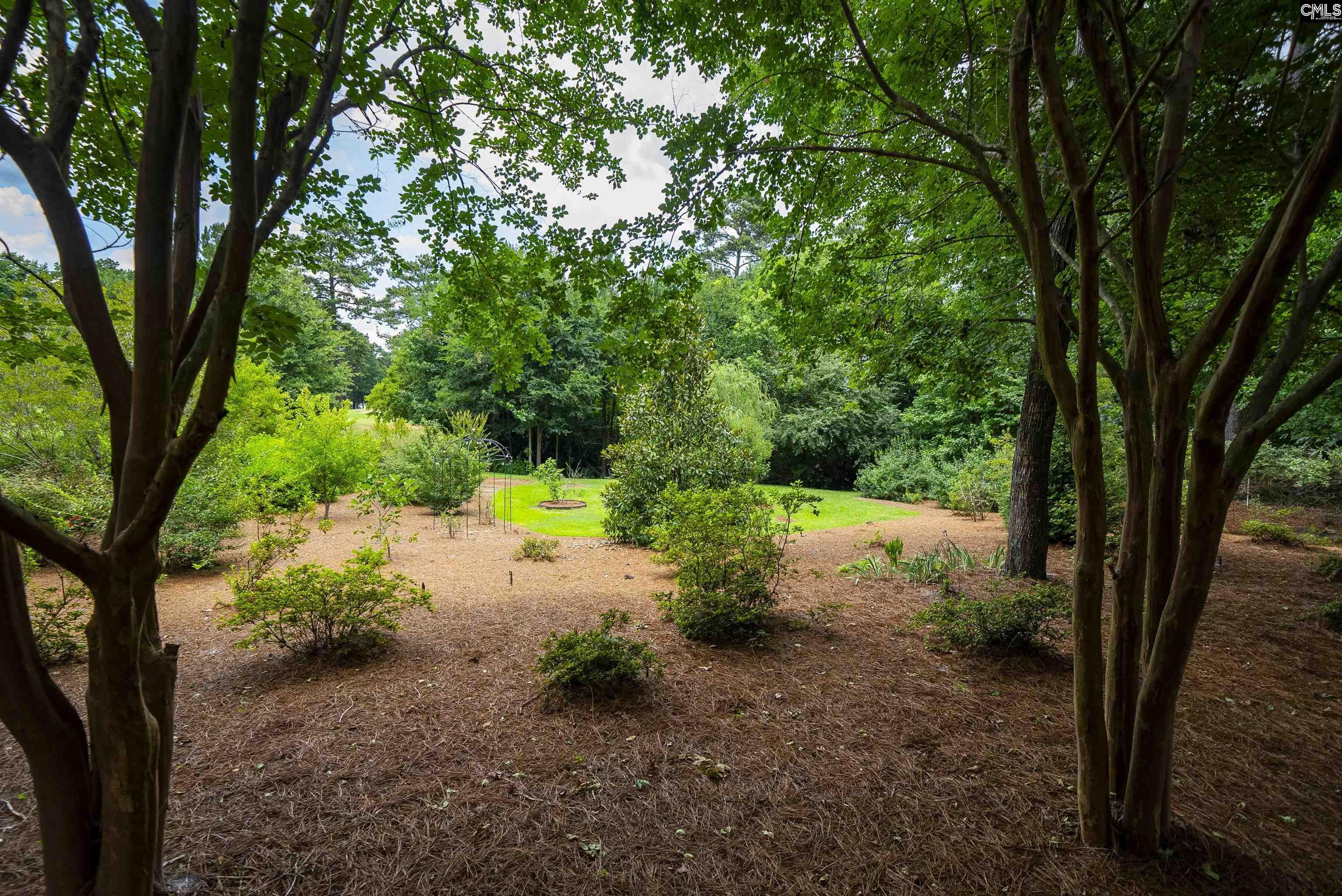 784 Coriander Road Blythewood, SC 29016 - Photo 84 of 97