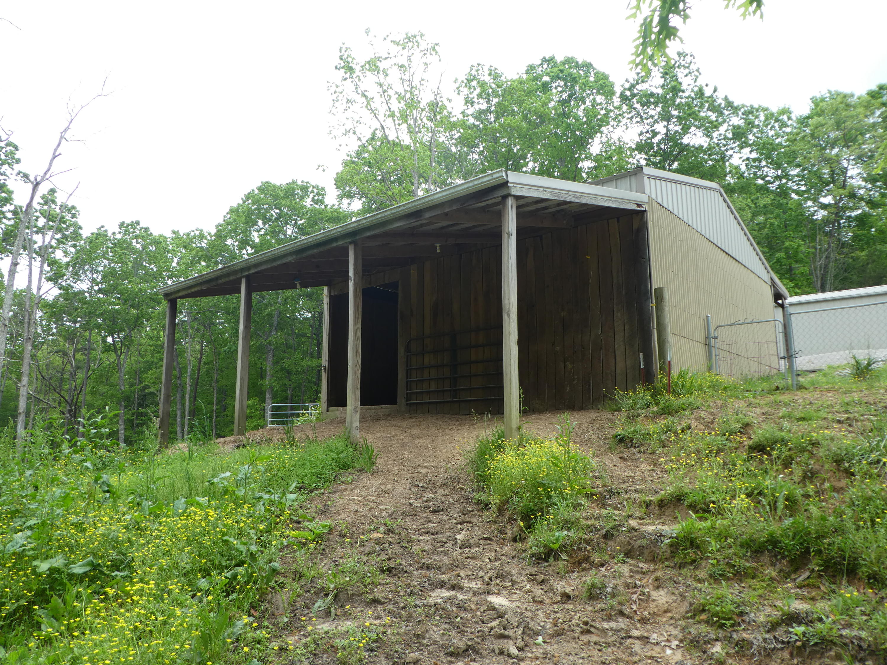 16 Gasline Road Jamestown, TN 38556 - Photo 11 of 39 P1020604