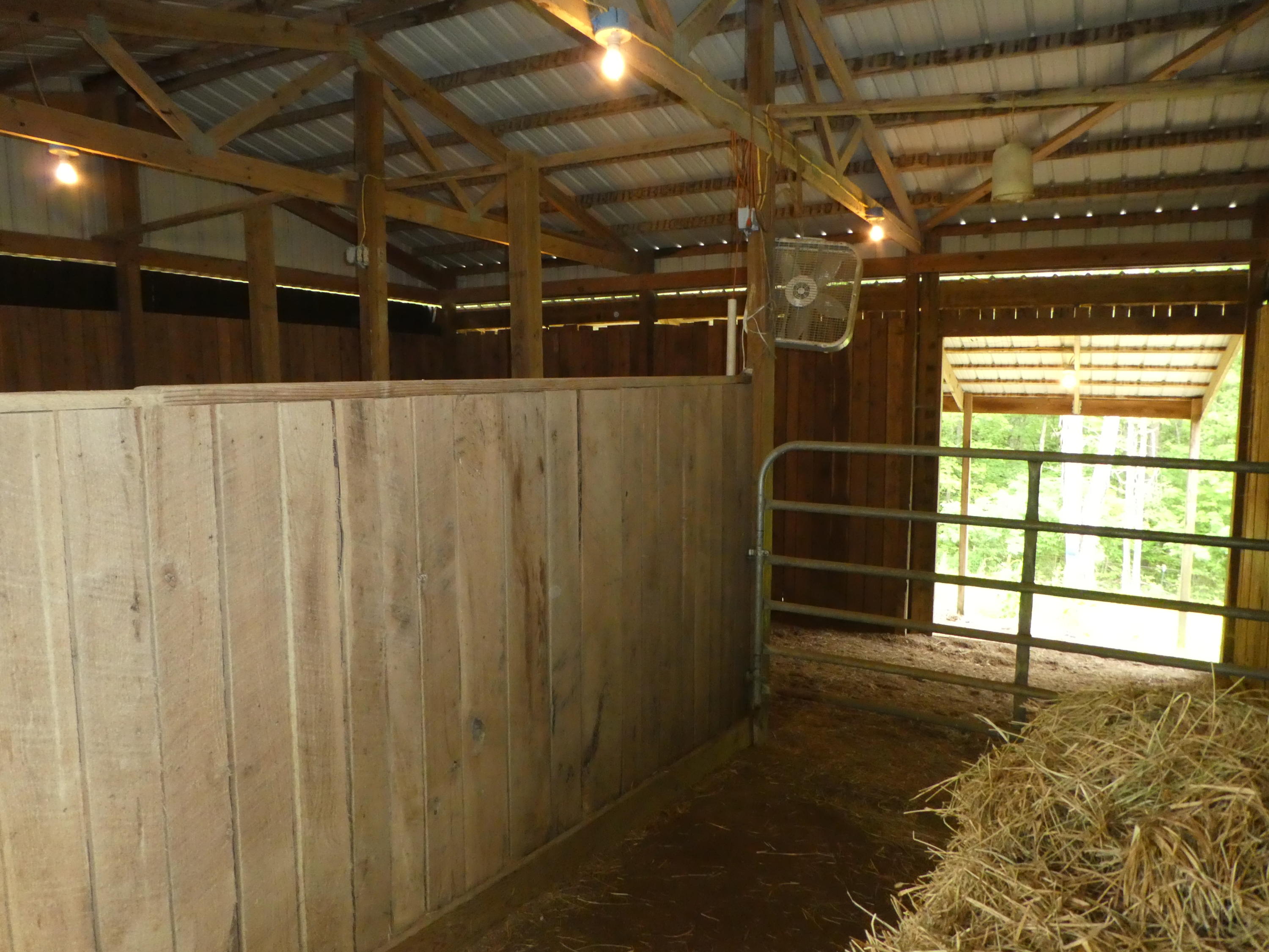 16 Gasline Road Jamestown, TN 38556 - Photo 13 of 39 P1020590