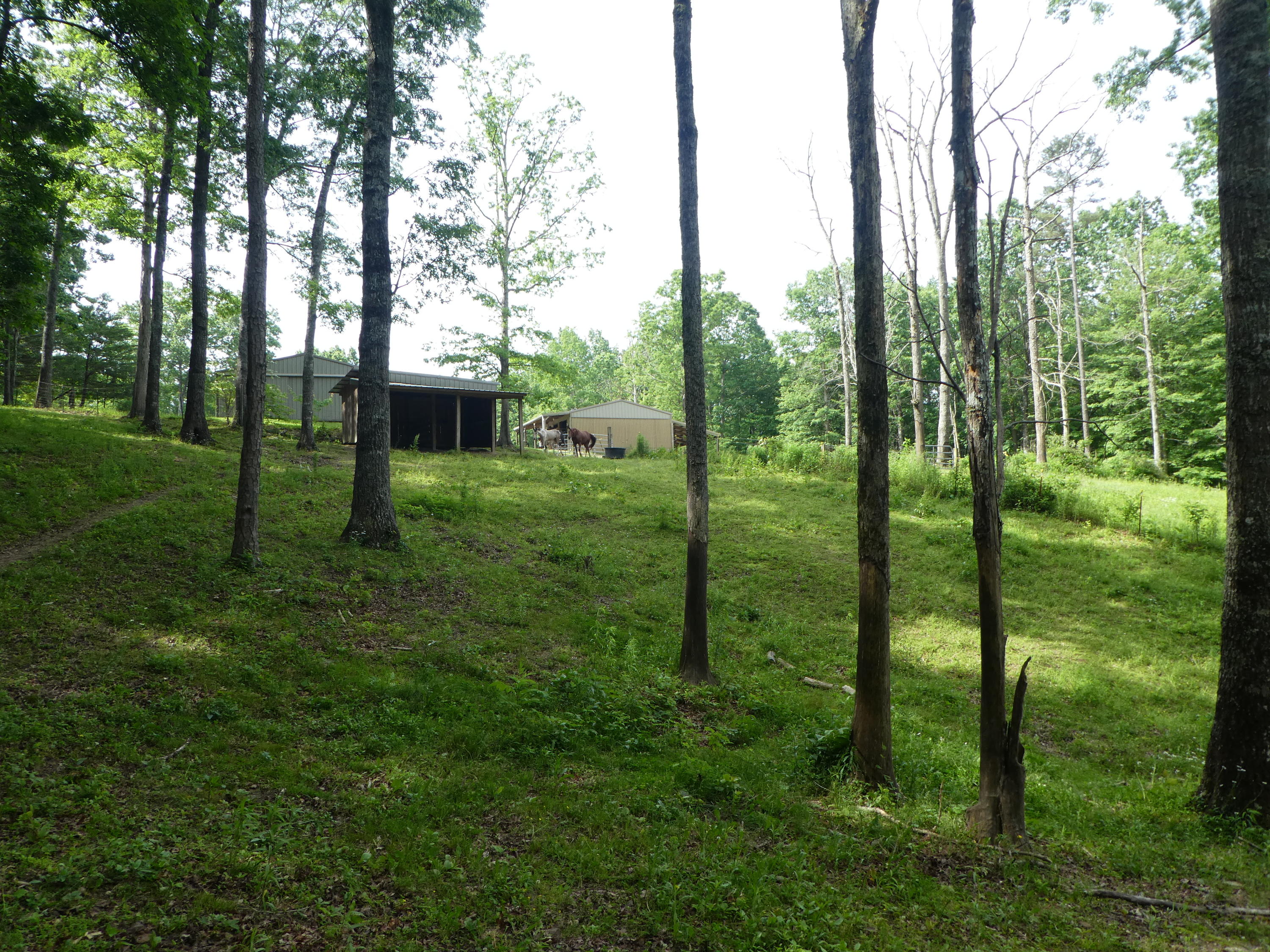 16 Gasline Road Jamestown, TN 38556 - Photo 15 of 39 P1020764