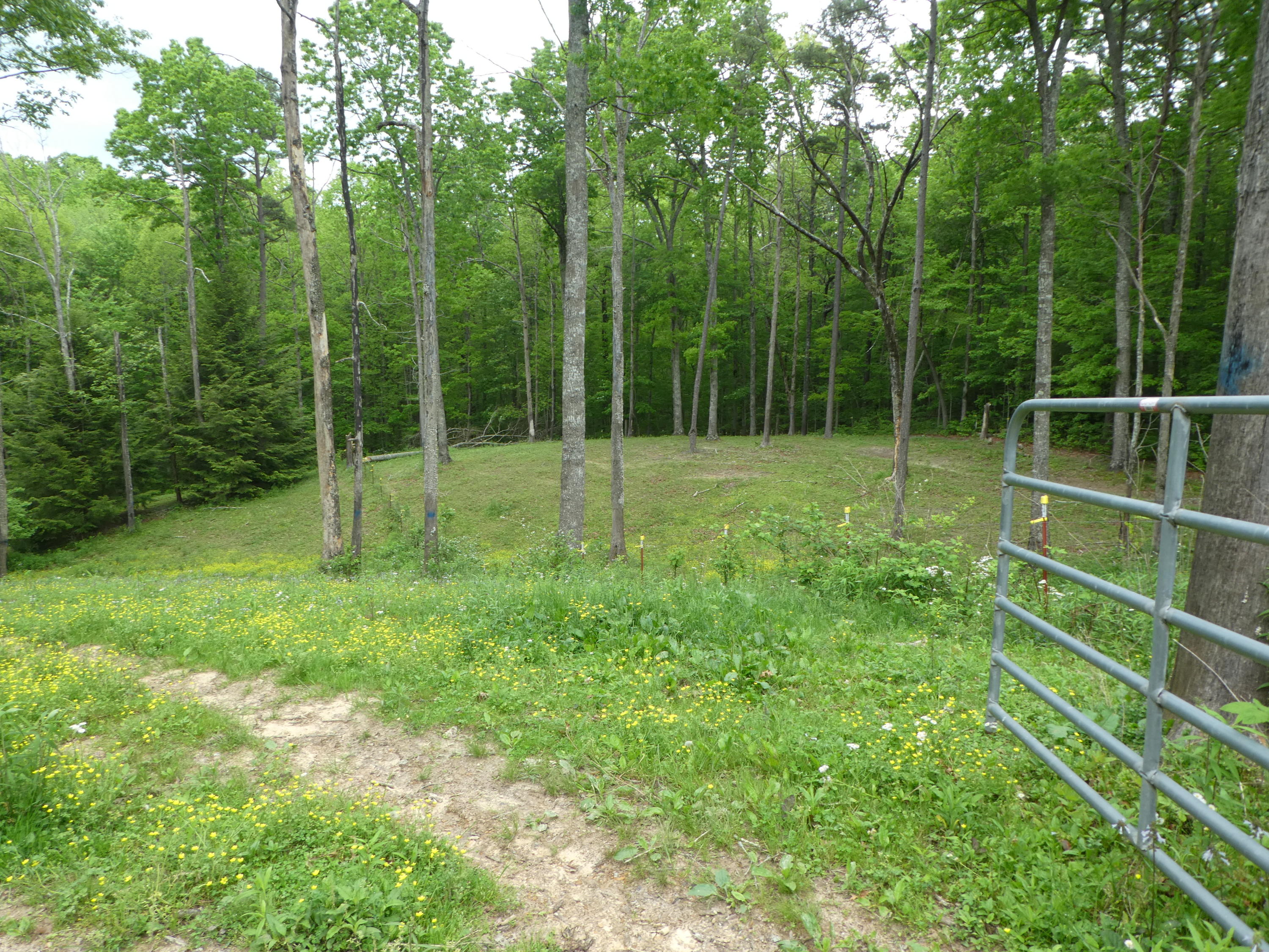 16 Gasline Road Jamestown, TN 38556 - Photo 16 of 39 P1020596