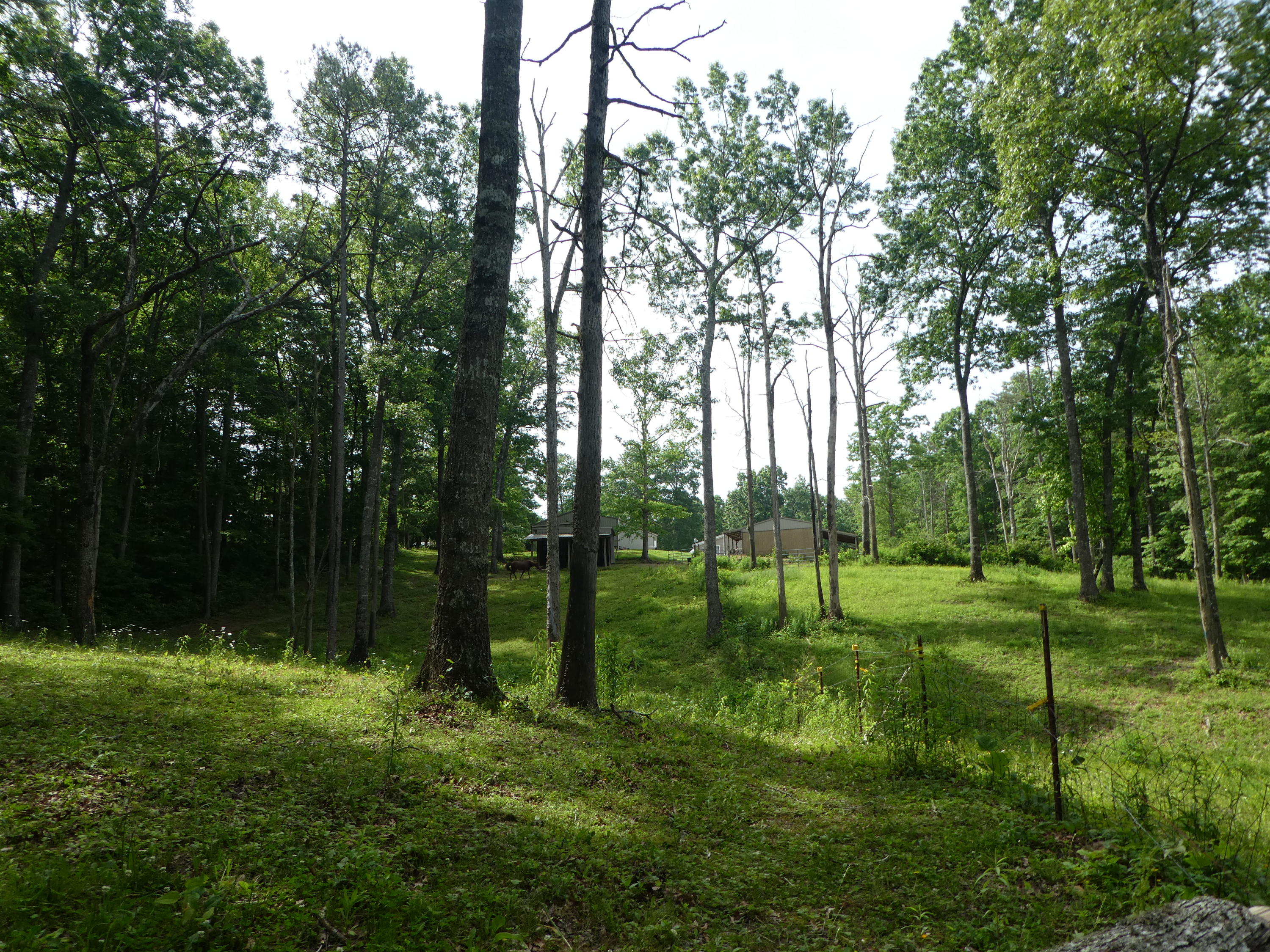 16 Gasline Road Jamestown, TN 38556 - Photo 6 of 39 P1020766