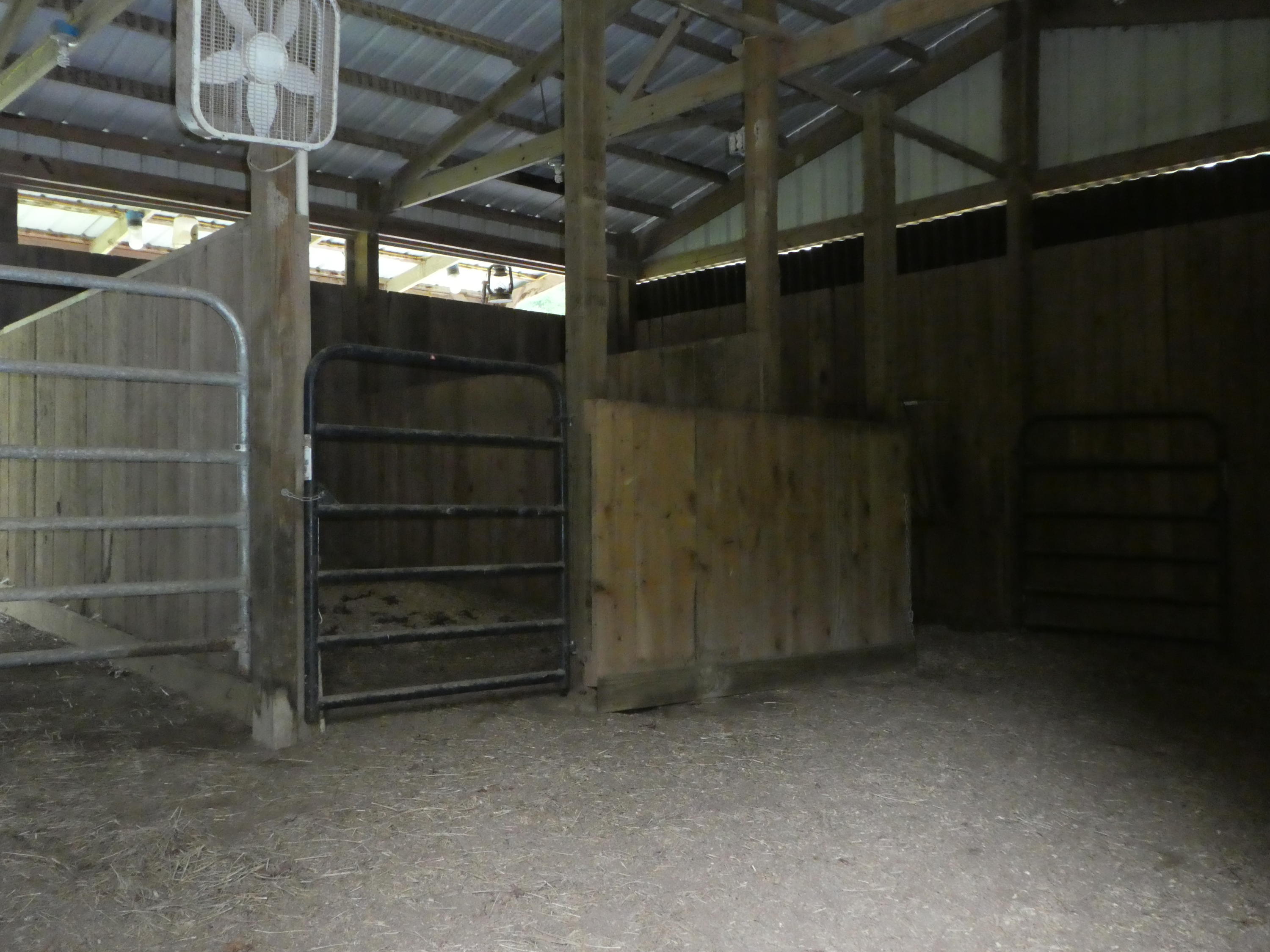 16 Gasline Road Jamestown, TN 38556 - Photo 10 of 39 P1020603