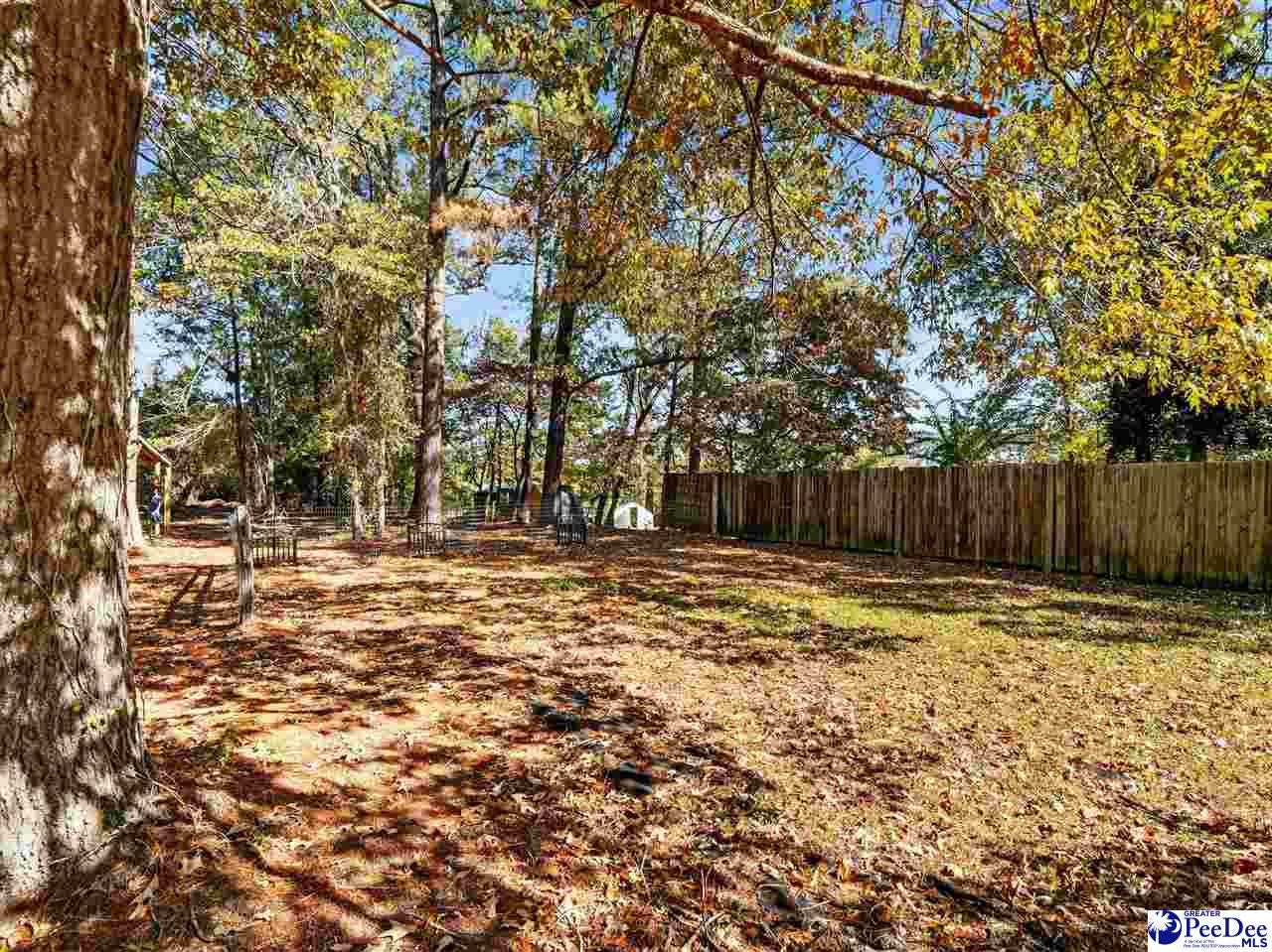 1155 Clyde Road Hartsville, SC 29550 - Photo 51 of 61 Gallery Image 51