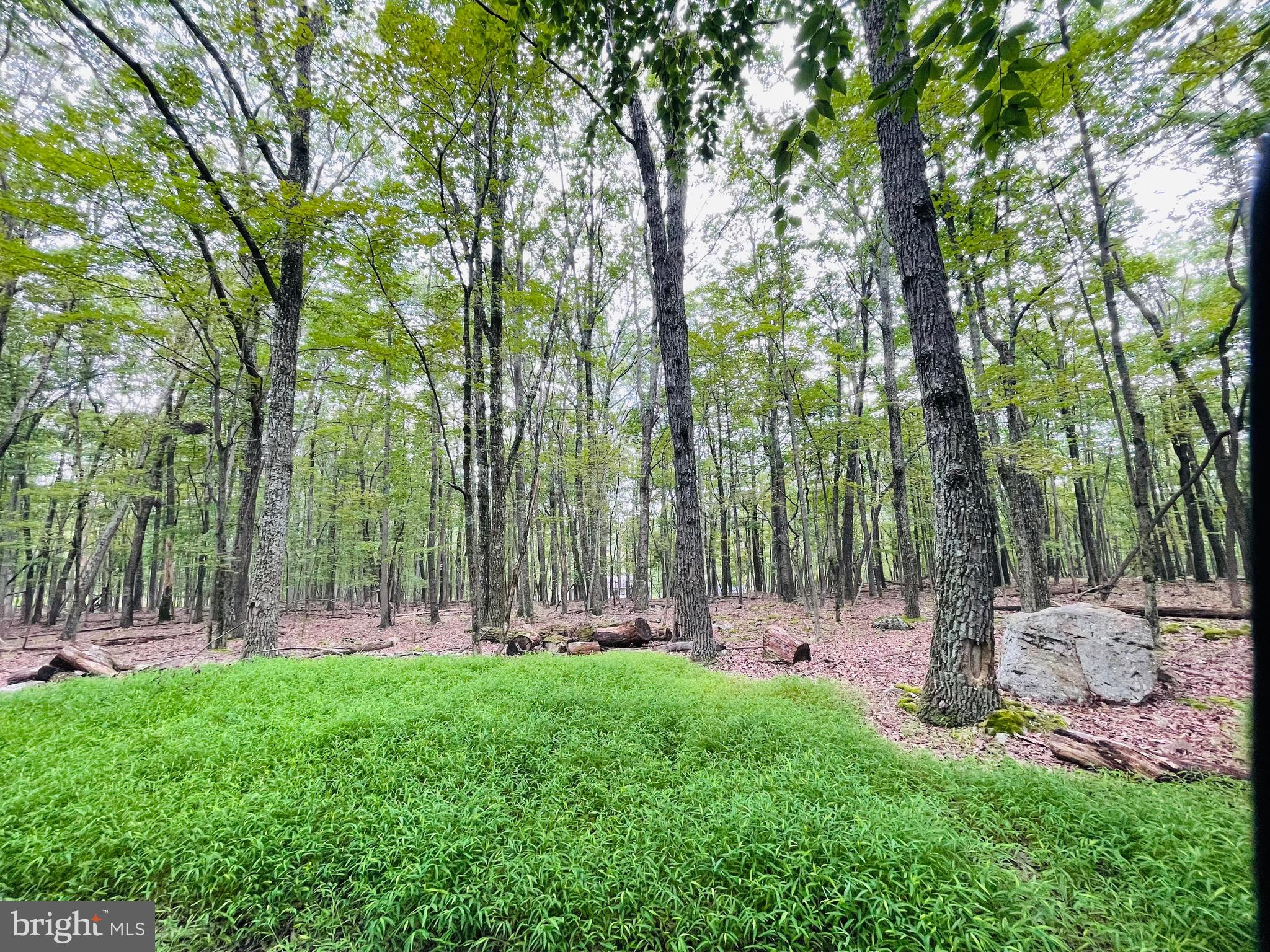 a childrens park with lots of trees and plants