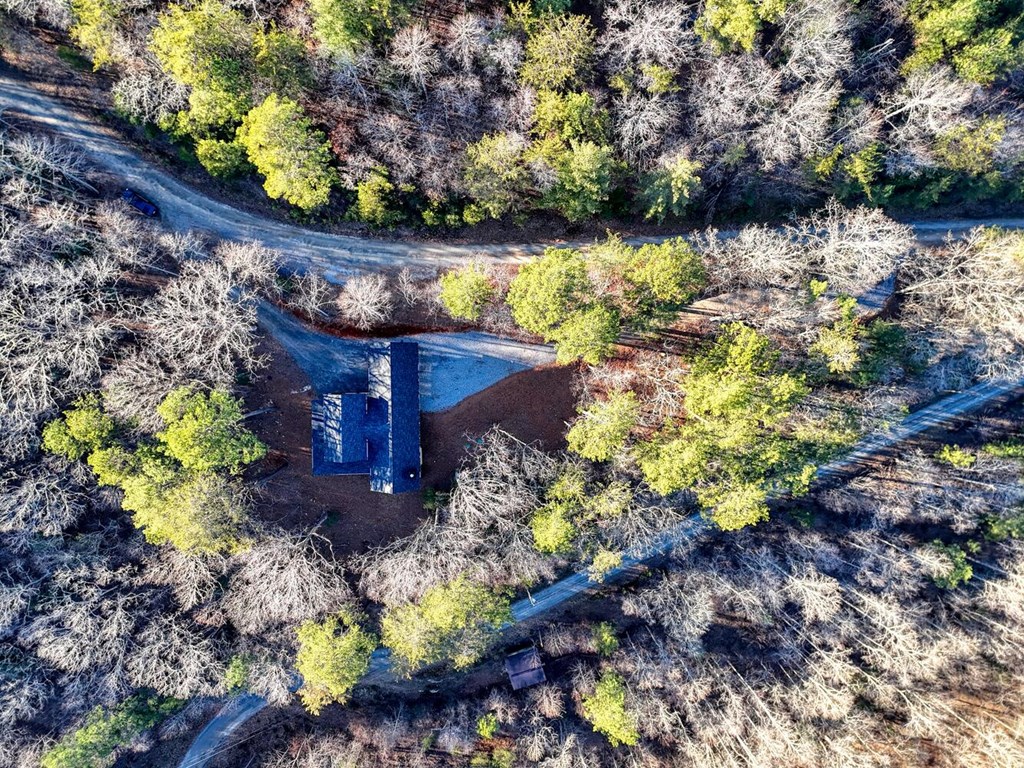 250 Wolfcreek Road Mineral Bluff, GA 30559 - Photo 13 of 59