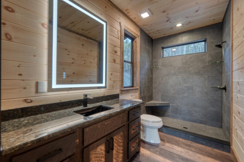 250 Wolfcreek Road Mineral Bluff, GA 30559 - Photo 41 of 59 a bathroom with a granite countertop sink toilet and shower