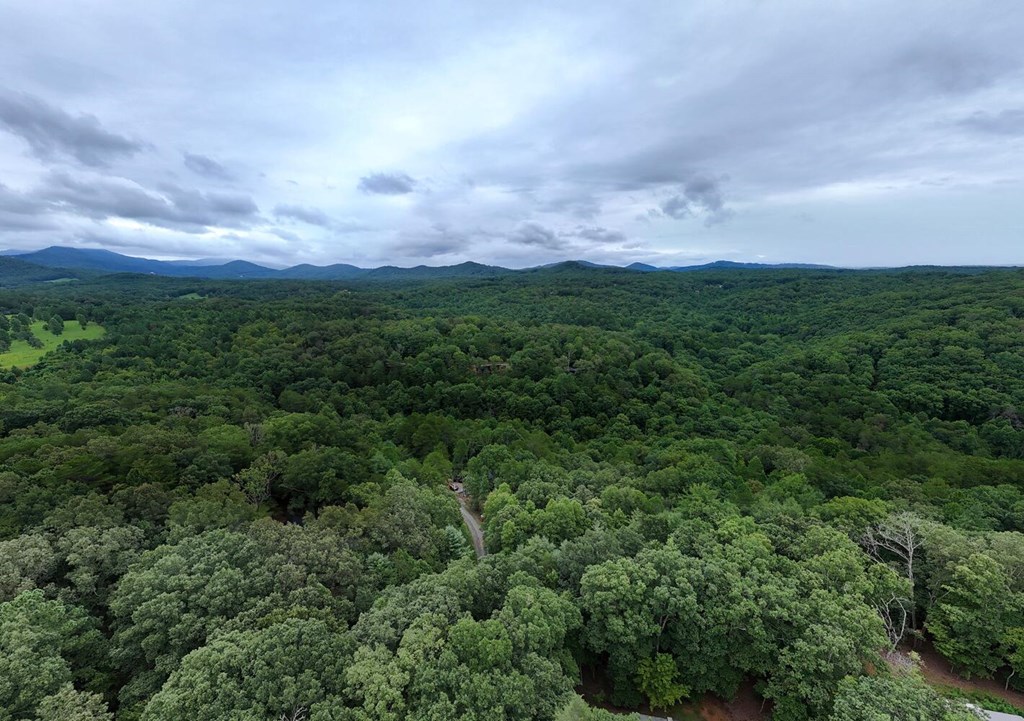 250 Wolfcreek Road Mineral Bluff, GA 30559 - Photo 56 of 59 an aerial view of houses covered in trees