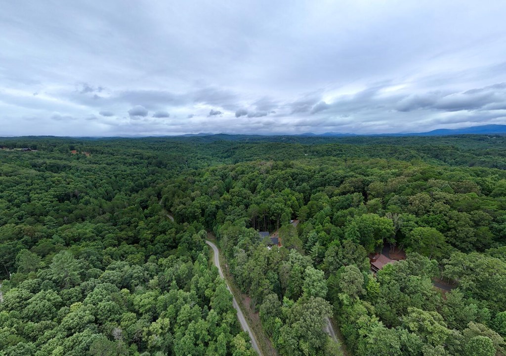 250 Wolfcreek Road Mineral Bluff, GA 30559 - Photo 57 of 59 an aerial view of houses covered in trees