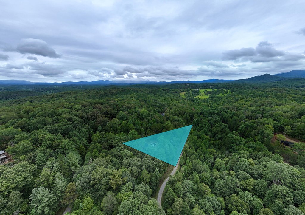 250 Wolfcreek Road Mineral Bluff, GA 30559 - Photo 59 of 59 an aerial view of a house with a yard and lake view