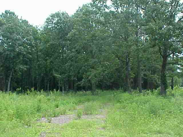 0 Defoor Road Resaca, GA 30735 - Photo 1 of 1 Main View
