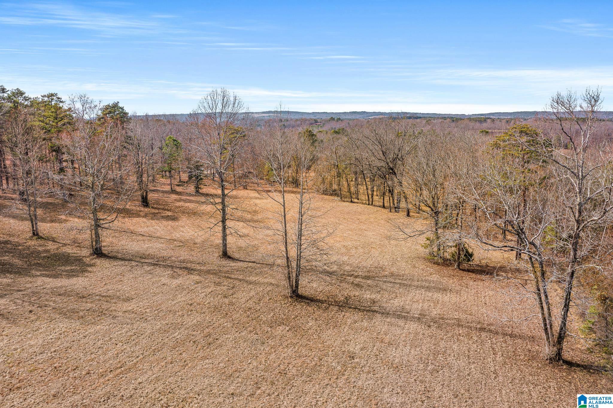 575 Mountain View Lane Springville, AL 35146 - Photo 75 of 84