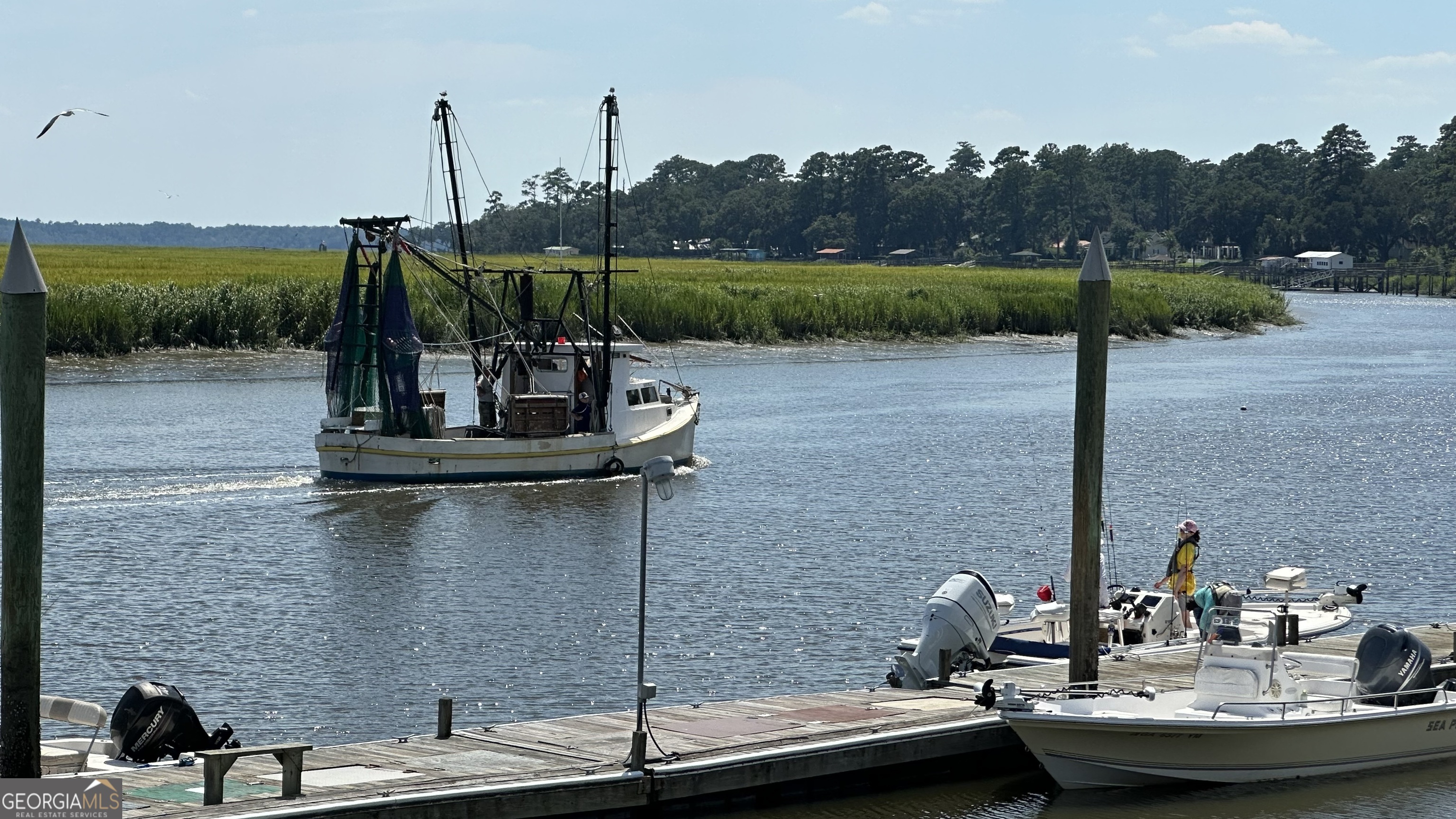 0 Pelican Perch Road Townsend, GA 31331 - Photo 4 of 13
