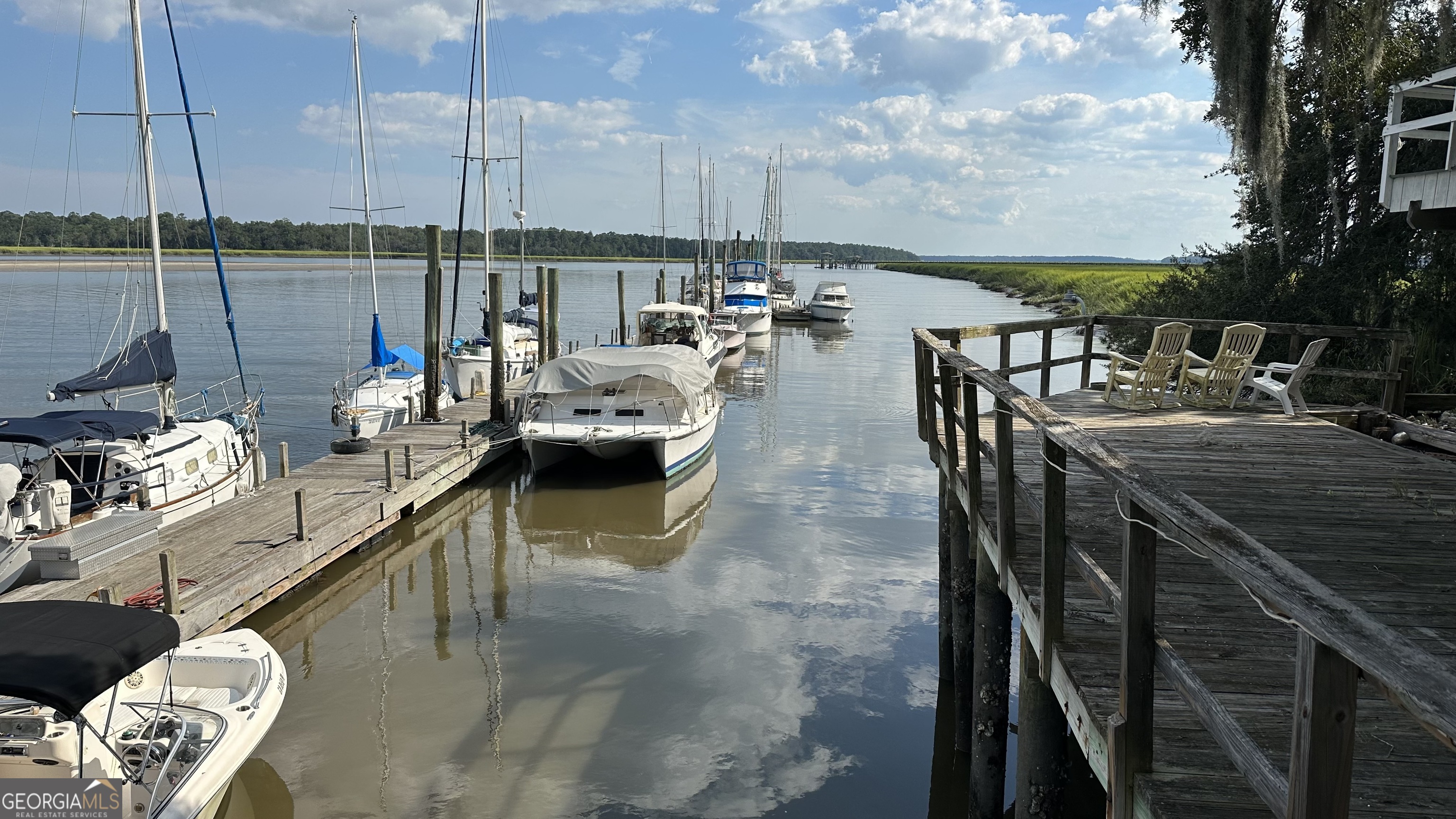 0 Pelican Perch Road Townsend, GA 31331 - Photo 5 of 13