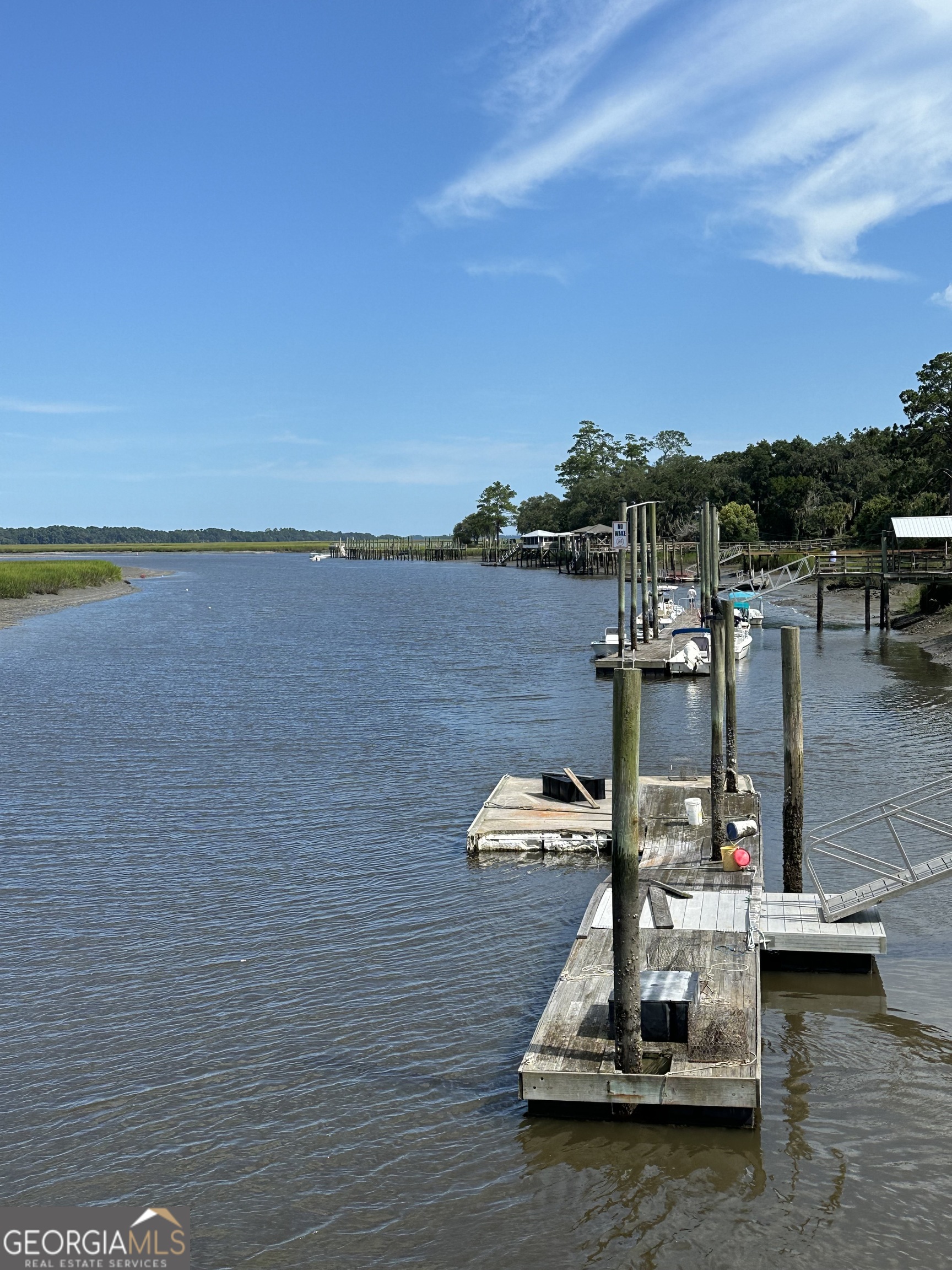 0 Pelican Perch Road Townsend, GA 31331 - Photo 10 of 13