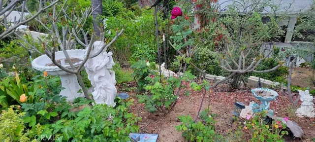 a view of a flower in a garden