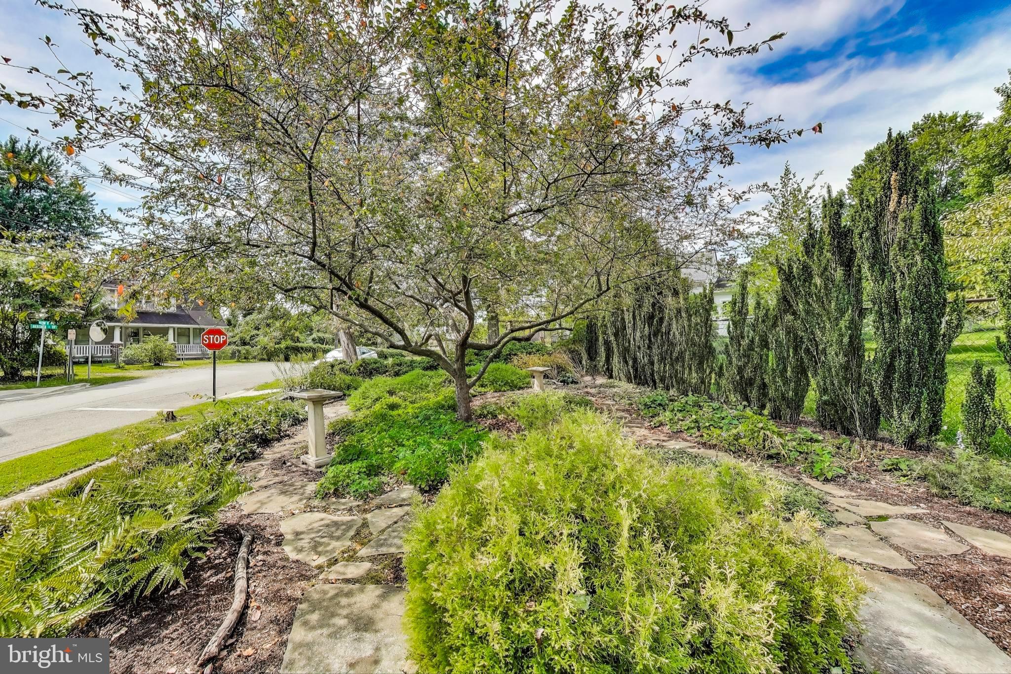 2400 Valley Way Cheverly, MD 20785 - Photo 2 of 42 Lush greenery frames a tranquil street view.