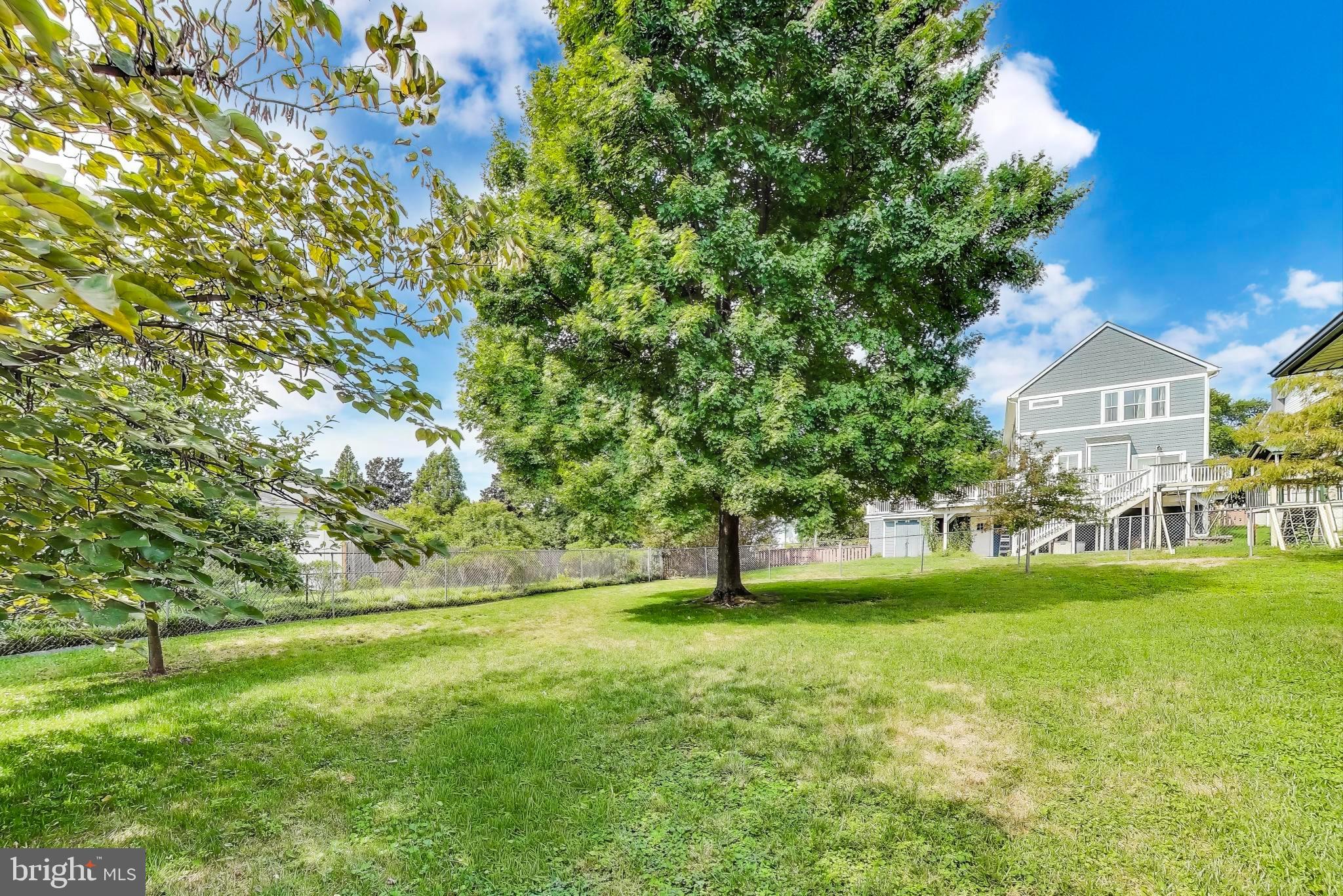 2400 Valley Way Cheverly, MD 20785 - Photo 37 of 42 Spacious yard with lush greenery