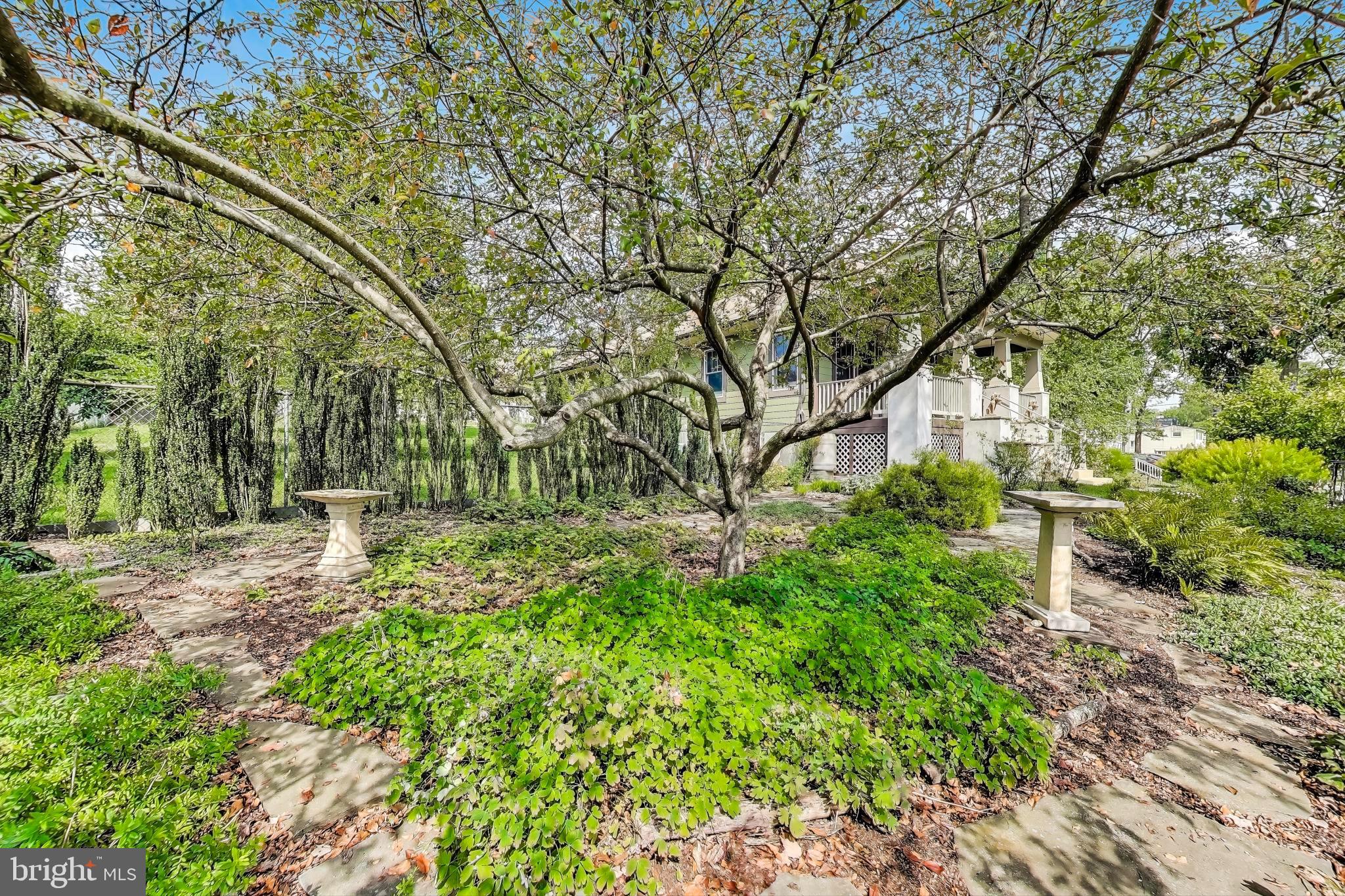 2400 Valley Way Cheverly, MD 20785 - Photo 40 of 42 Serene garden retreat with lush greenery.