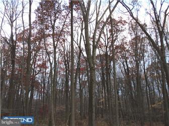 359 Mt Lucas Road Princeton, NJ 08540 - Photo 2 of 2 View