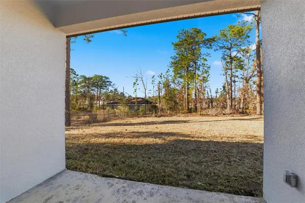 a view of dirt yard with a large tree