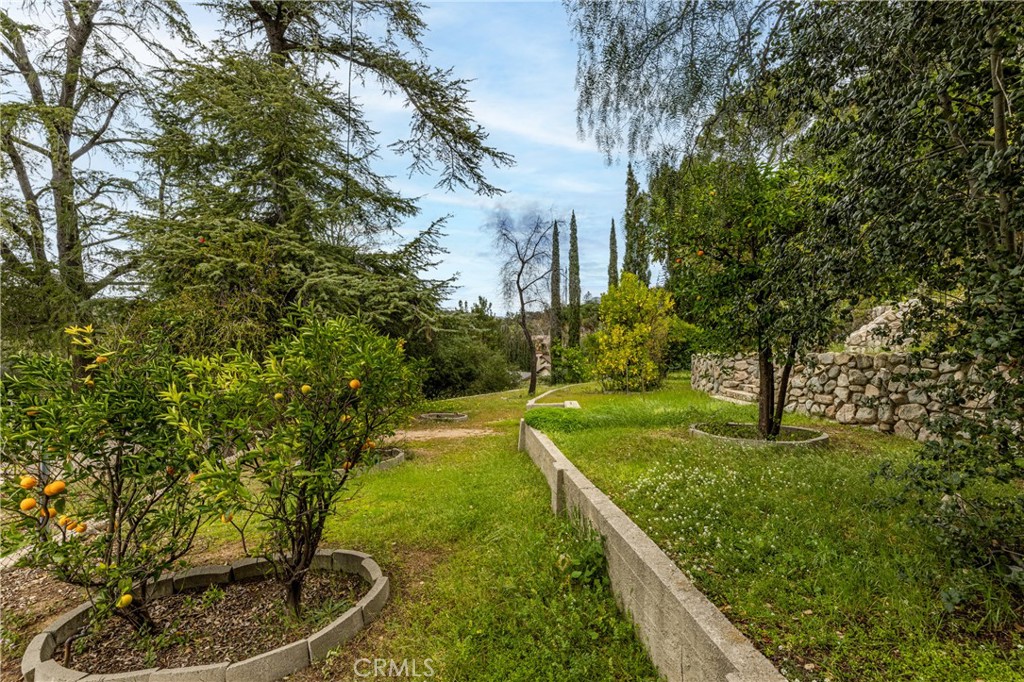 7444 Tranquil Drive Tujunga, CA 91042 - Photo 19 of 34 a view of a backyard with large trees