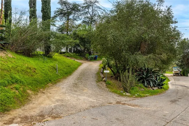 a view of a park with plants and trees