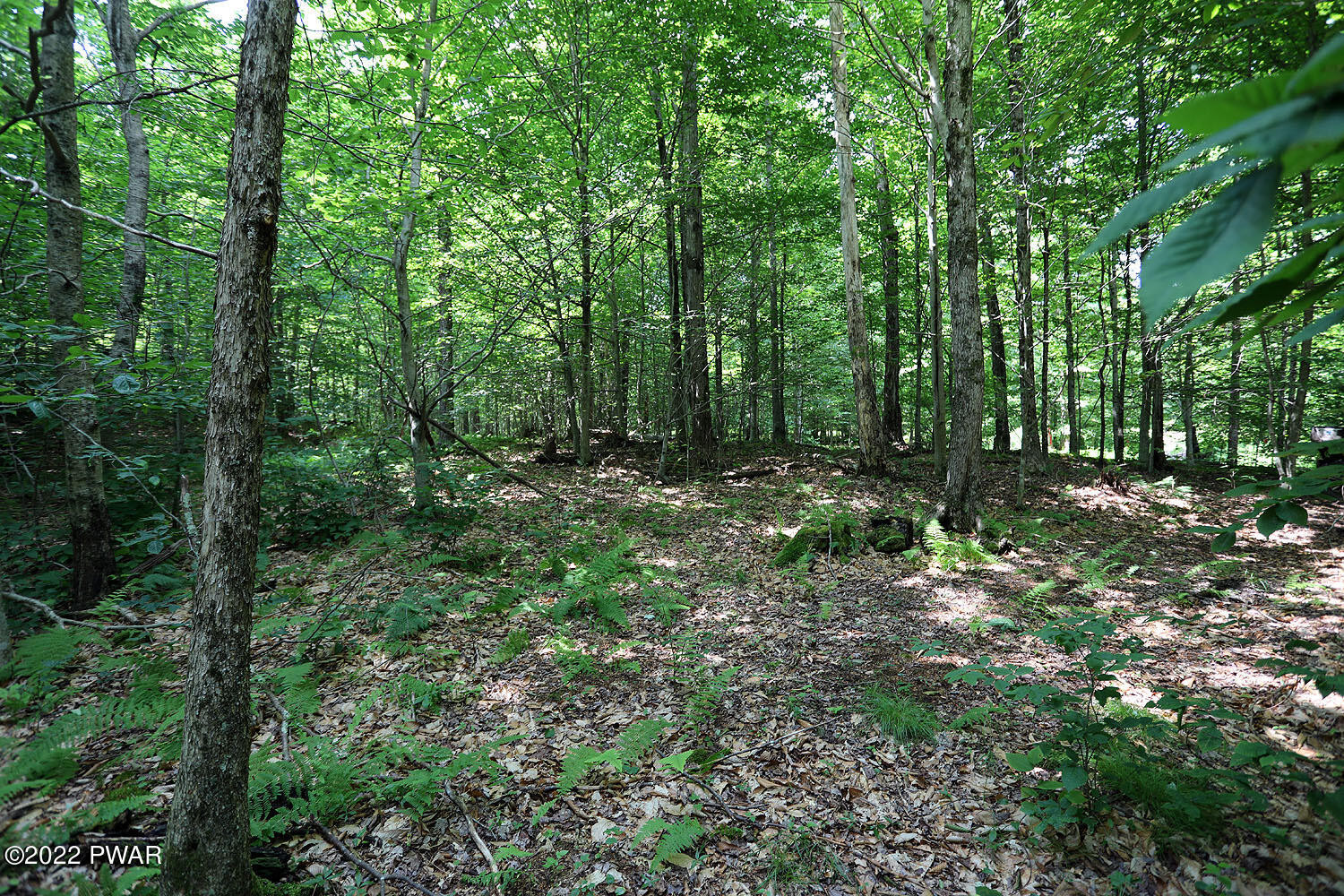 0 Minckler Mountain Road Damascus, PA 18415 - Photo 12 of 43