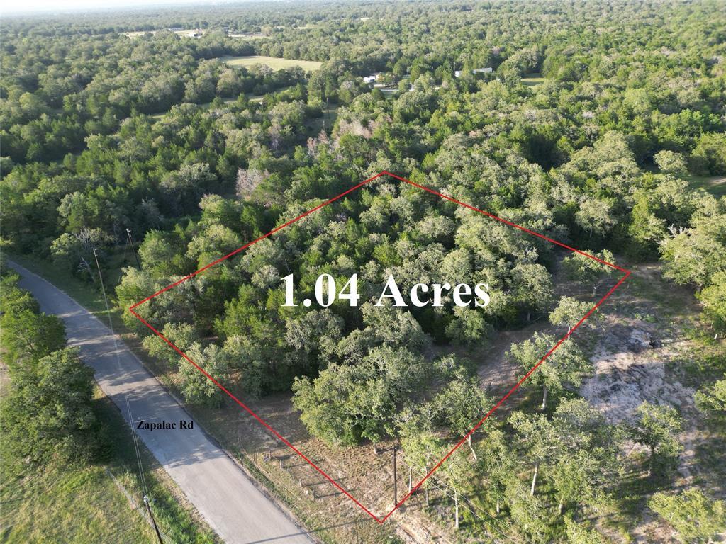 Tbd Lot 1 Tbd Road Smithville, TX 78957 - Photo 1 of 12 a view of a forest with a tree