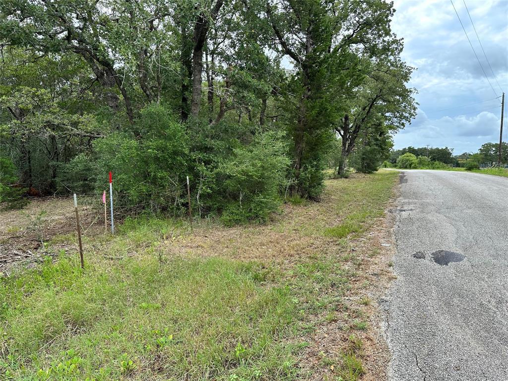 Tbd Lot 1 Tbd Road Smithville, TX 78957 - Photo 6 of 12 a view of a yard with a tree
