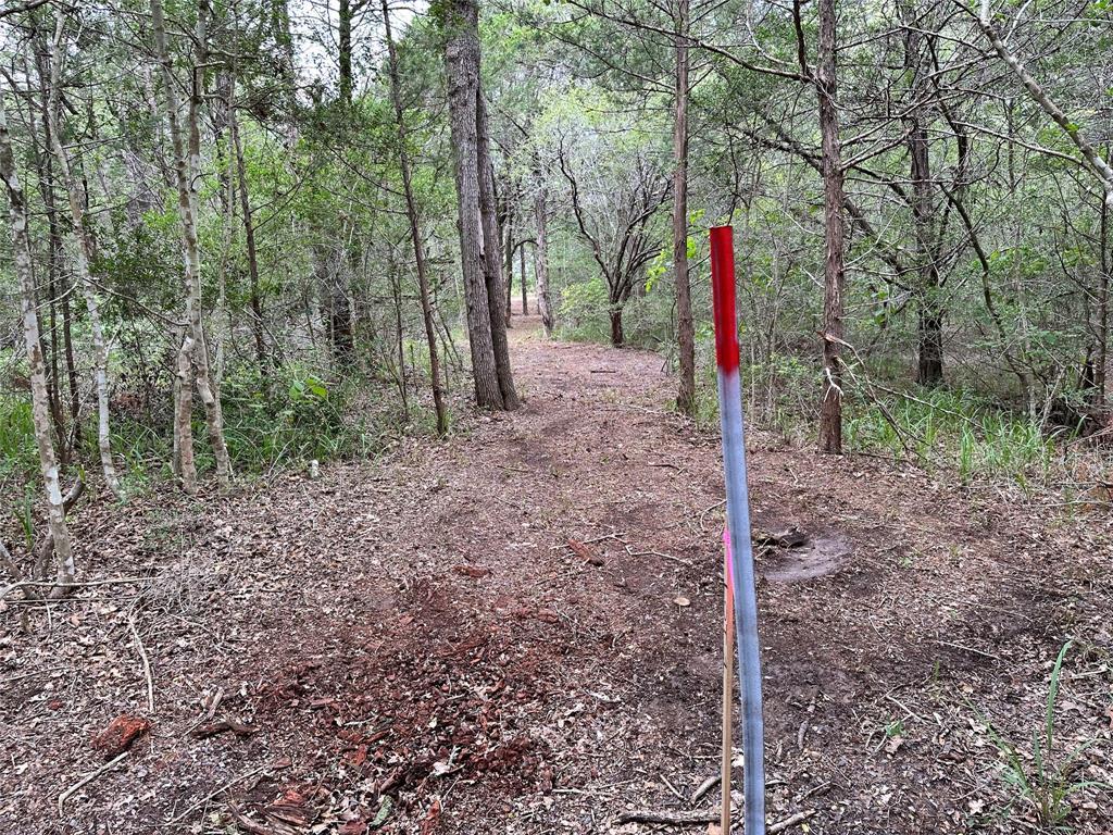 Tbd Lot 1 Tbd Road Smithville, TX 78957 - Photo 7 of 12 a flag is sitting in the middle of forest