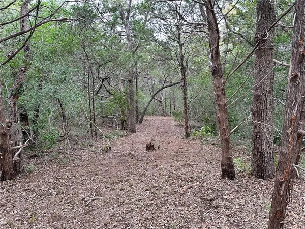 a view of a yard with trees